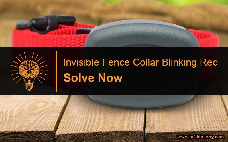 Invisible Fence Collar Blinking Red-Fi