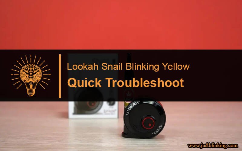 Lookah Snail Blinking Yellow-Fi