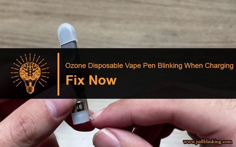 Ozone Disposable Vape Pen Blinking When Charging-Fi